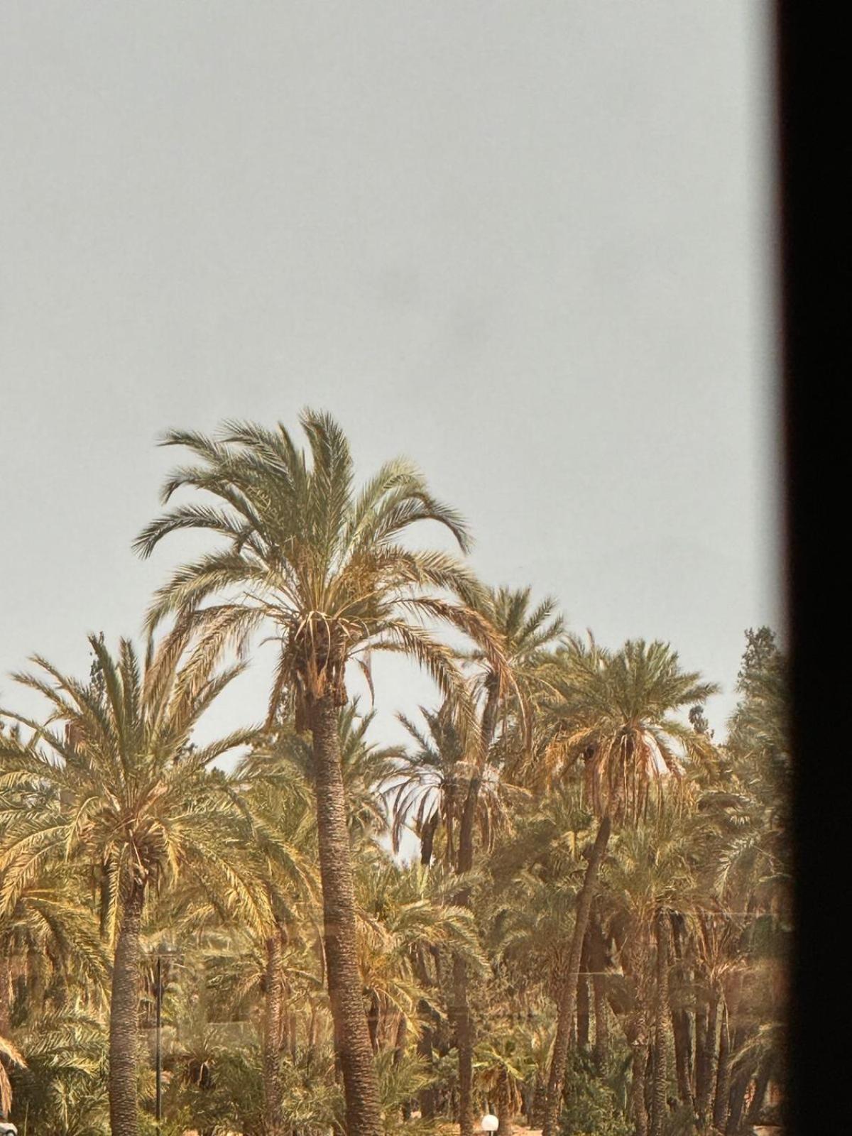 Appartement Malak - Avec Piscine, Wifi, Gardien H24 Marrakesh